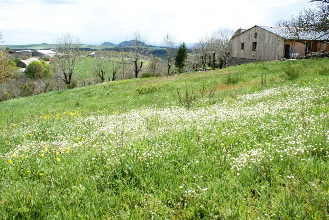 Saint-Étienne-du-Valdonnez Gites La Boletiere מראה חיצוני תמונה
